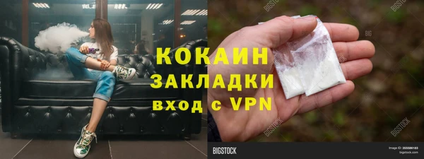 трава Арсеньев