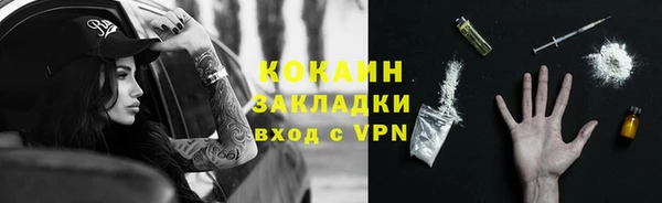 трава Арсеньев
