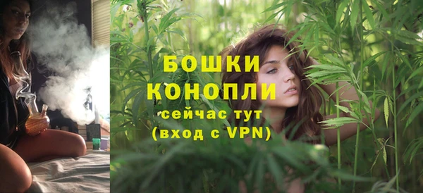 трава Арсеньев